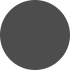 POS Polycarbonate Tinted Lens