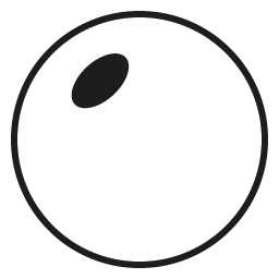 Tinted Rx Lens